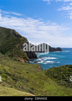 Dh Cape Reinga NUOVA ZELANDA Aupouri penisola costa campagna seacliffs headland Foto Stock