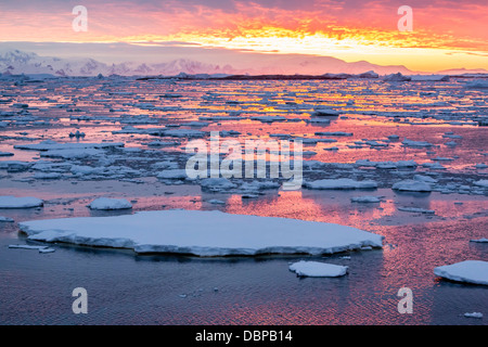 Tramonto su ghiaccio e floes iceberg, vicino a Pleneau Island, Antartide, oceano meridionale, regioni polari Foto Stock