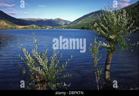 Il Lago di Scanno, o il Lago di Scanno nella regione Abruzzo d'Italia. Foto Stock