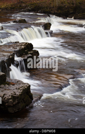 Forza Redmire sul Fiume Ure, Wensleydale, Yorkshire Dales, nello Yorkshire, Inghilterra, Regno Unito, Europa Foto Stock