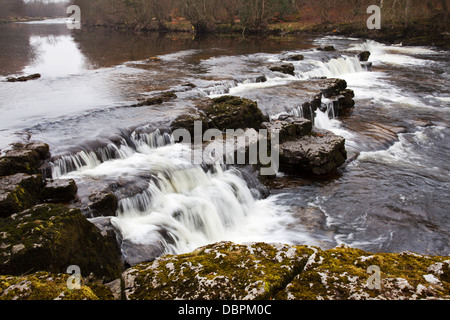 Forza Redmire sul Fiume Ure, Wensleydale, Yorkshire Dales, nello Yorkshire, Inghilterra, Regno Unito, Europa Foto Stock