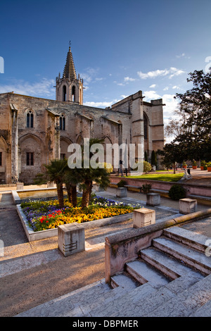 Tempio di San Marziale e Agricol Perdiguier Square nel centro di Avignon Vaucluse Francia, Europa Foto Stock