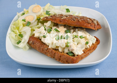 Sandwich con insalata di uova sulla piazza piastra bianca Foto Stock