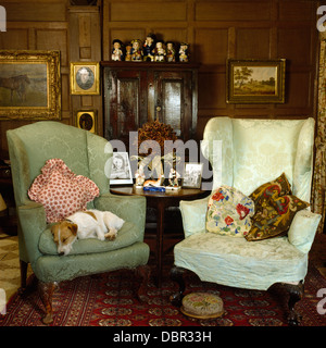 Piccolo cane dorme sul verde pallido poltrona accanto ala bianca sedia in pannellata country living room Foto Stock