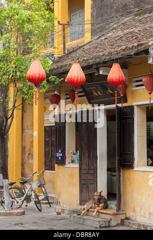 Parte anteriore del negozio di biciclette e cane nel quartiere vecchio di Hoi An, Vietnam, sud-est asiatico Foto Stock