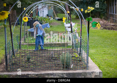 Pubblica australiana la scuola primaria orto, sydney, Australia Foto Stock