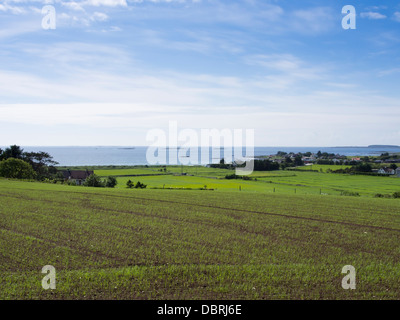 Piantate i campi in sola, un'area agricola al di fuori di Stavanger Norvegia , fattorie con il mare del Nord e come orizzonte il prossimo Foto Stock