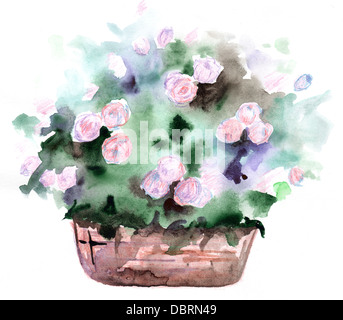 Sfondo con una rose Foto Stock