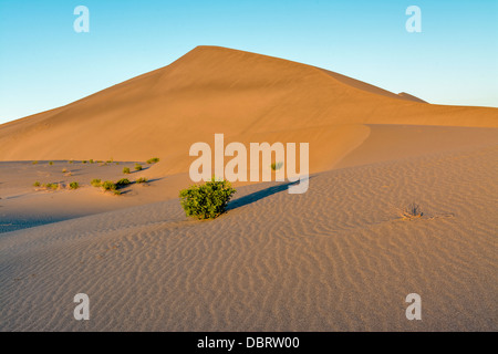 Sole di mattina getta ombre lunghe in le increspature di sabbia Foto Stock