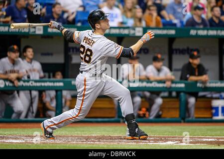 3 agosto 2013 - San Pietroburgo, FL, Stati Uniti d'America: San Francisco Giants catcher Buster Posey (28) a bat durante il Major League Baseball gioco d'azione tra i San Francisco Giants e il Tampa Bay Rays al Tropicana Campo in St Petersburg, FL. Foto Stock