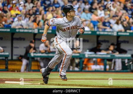 3 agosto 2013 - San Pietroburgo, FL, Stati Uniti d'America: San Francisco Giants catcher Buster Posey (28) a bat durante il Major League Baseball gioco d'azione tra i San Francisco Giants e il Tampa Bay Rays al Tropicana Campo in St Petersburg, FL. Foto Stock