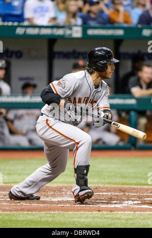 3 agosto 2013 - San Pietroburgo, FL, Stati Uniti d'America: San Francisco Giants interbase Brandon Crawford (35) durante il Major League Baseball gioco d'azione tra i San Francisco Giants e il Tampa Bay Rays al Tropicana Campo in St Petersburg, FL. Foto Stock