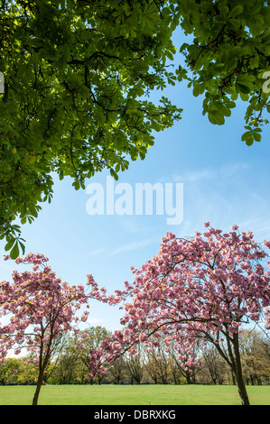 Acton Park, London, Regno Unito Foto Stock