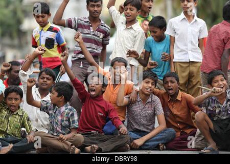 Puttaparthy, India, il 4° agosto 2013. Bambini indiani da Puttaparthy in Andhra Pradesh stanno protestando contro la creazione del nuovo stato di Telangana che dovrebbe separare lo stato Andhra Pradesh in due. Credito: Werli Francois/Alamy Live News Foto Stock