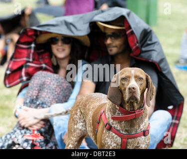 Hertfordshire, Regno Unito, 03/08/2013 : Standon Calling Festival. Atmosfera, i partecipanti in costume a tema di 'esecuzione lontano dal Circus'. Foto di Julie Edwards Foto Stock