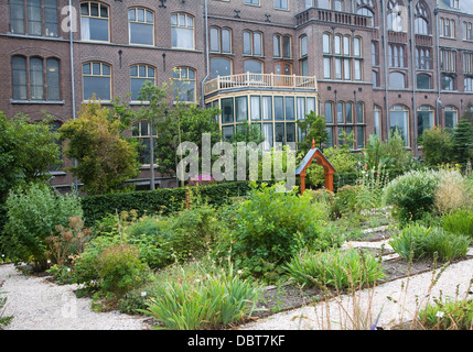 Hortus Botanicus giardini botanici Leiden Paesi Bassi Foto Stock