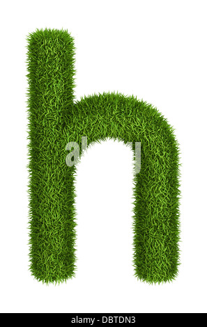 L'erba naturale lettera h lettere minuscole Foto Stock