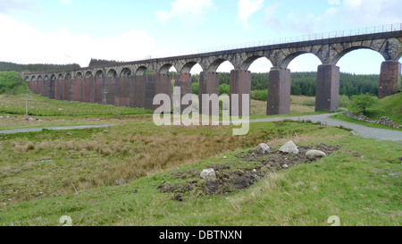 Grande acqua del viadotto della flotta al bordo meridionale del Galloway Forest Park in Scozia. Foto Stock