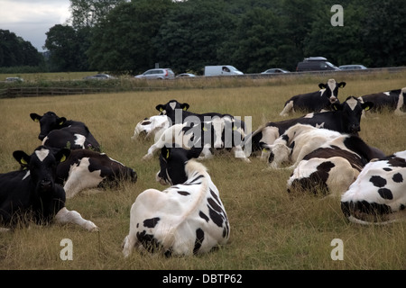 Naso di accodamento di coda sulla M5 in Devon in una trafficata luglio sabato dopo le scuole hanno spezzato per l'estate Foto Stock