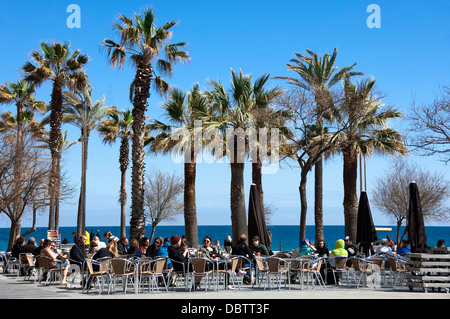 Pavement cafe e bar caffetteria sotto gli alberi di palma, lungomare, zona Barceloneta, Barcellona, Catalunya, Spagna, Europa Foto Stock