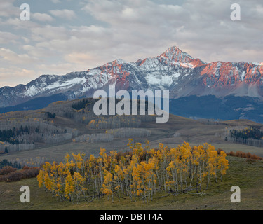 Wilson picco con una spolverata di neve in caduta, San Juan National Forest, Colorado, Stati Uniti d'America, America del Nord Foto Stock