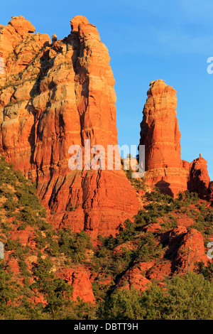 Le formazioni rocciose a Sedona, in Arizona, Stati Uniti d'America, America del Nord Foto Stock