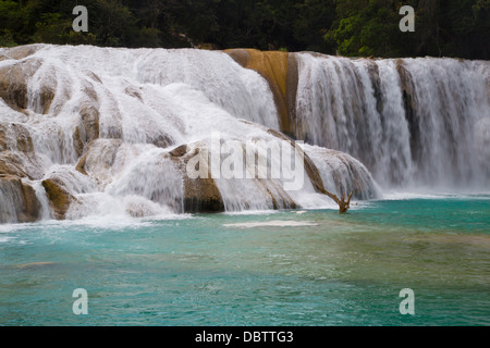 Cascate, Rio Tulija, Aqua Azul National Park, vicino a Palenque, Chiapas, Messico, America del Nord Foto Stock