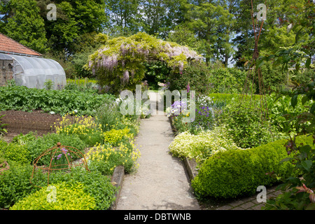 Paese di lingua inglese potager giardino a inizio estate Foto Stock