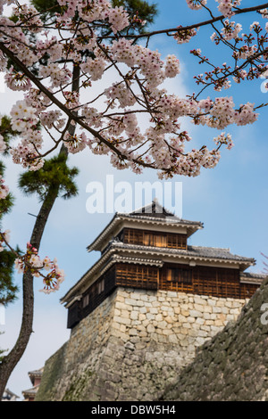 La fioritura dei ciliegi e il Castello di Matsuyama, Shikoku, Giappone, Asia Foto Stock