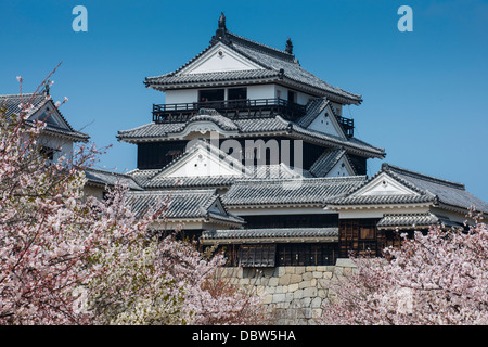 La fioritura dei ciliegi e il Castello di Matsuyama, Shikoku, Giappone, Asia Foto Stock