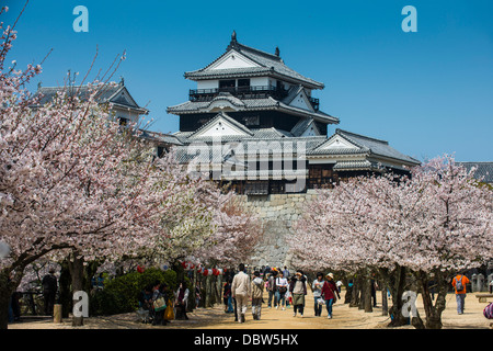 La fioritura dei ciliegi e il Castello di Matsuyama, Shikoku, Giappone, Asia Foto Stock