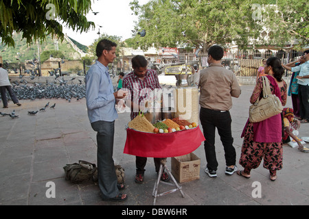 Venditore ambulante di vendita di semi di uccelli al di fuori del Forte Amer Amer in India Foto Stock