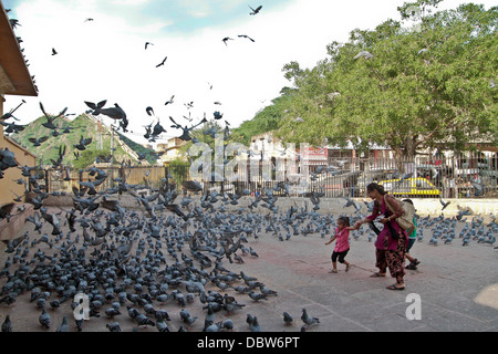 Bambini che giocano con i piccioni in India Foto Stock