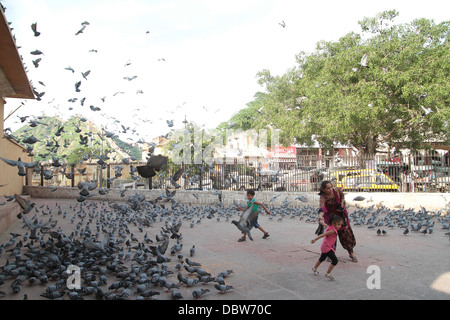 Bambini che giocano con i piccioni in India Foto Stock