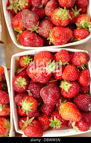 Fresche fragole mature sul display in un mercato agricolo Foto Stock