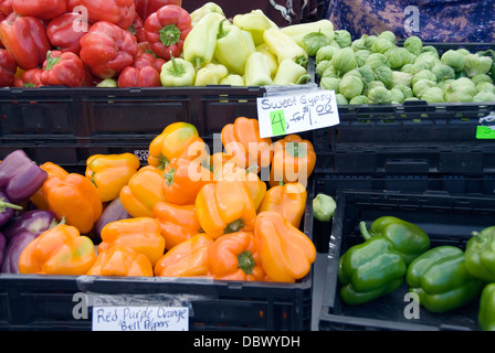 Selezione di peperoni in vendita su una bancarella vendendo le verdure fresche al Kittitas County agricoltore il mercato, Ellensburg, STATI UNITI D'AMERICA Foto Stock