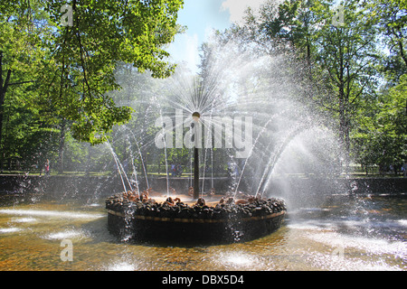 Fontane "Sole" A Peterhof Palace garden, San Pietroburgo Foto Stock