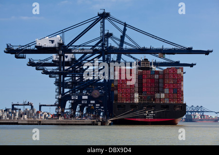 Nave portacontainer Yang Ming unità scarica a Felixstowe contenitore porta, Suffolk, Regno Unito. Foto Stock