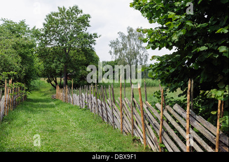 Il lituano museo etnografico (Liaudiesbuities muziejus) vicino a Kaunas, Lituania, Europa Foto Stock