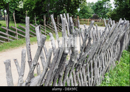 Il lituano museo etnografico (Liaudiesbuities muziejus) vicino a Kaunas, Lituania, Europa Foto Stock