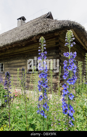 Il lituano museo etnografico (Liaudiesbuities muziejus) vicino a Kaunas, Lituania, Europa Foto Stock