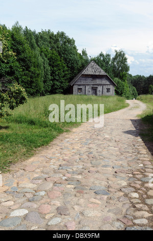 Il lituano museo etnografico (Liaudiesbuities muziejus) vicino a Kaunas, Lituania, Europa Foto Stock