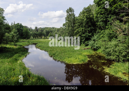 Il lituano museo etnografico (Liaudiesbuities muziejus) vicino a Kaunas, Lituania, Europa Foto Stock