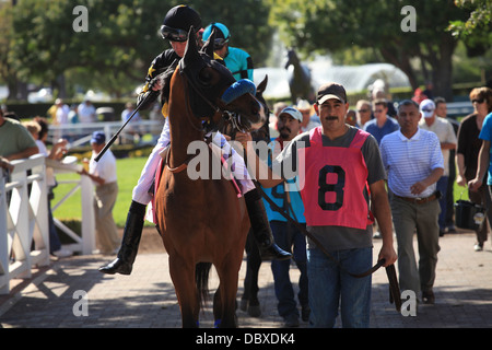 Santa Anita Horse Racing. Lasciando il paddock. Foto Stock