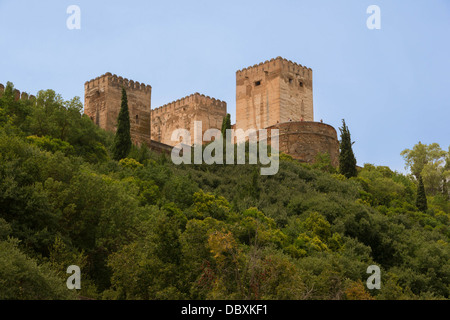 Alcazaba di Alhambra dal di sotto, rio Darro valley, Granada, Spagna. Foto Stock