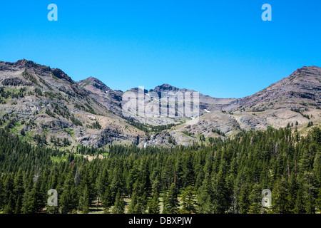 La sardina cade in Sonora passare lungo l'autostrada 108 nelle montagne della Sierra Nevada della California Foto Stock