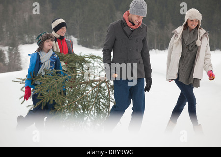 La famiglia felice che trasportano freschi albero di Natale nel campo nevoso Foto Stock