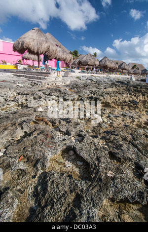 La foto è stata scattata in Cozumel, Messico Foto Stock