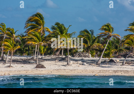 La foto è stata scattata in Cozumel, Messico Foto Stock