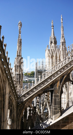 Diverso stile gotico statue del Duomo di Milano, uno dei la più grande chiesa in stile gotico nel mondo. Foto Stock